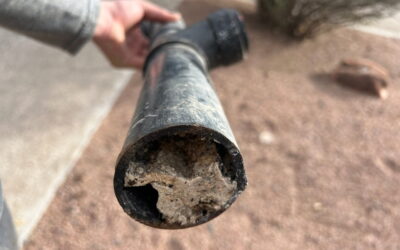 Don’t Pour Grease Down the Drain—Here’s Why